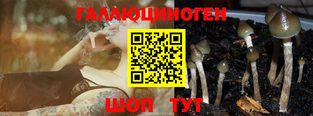 Галлюциногенные грибы прущие грибы Можайск